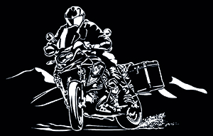 BEEMER GS face mask print